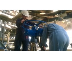 Installation, Calibration and Commissioning MOVs at Phu My I Power Plant (2016)